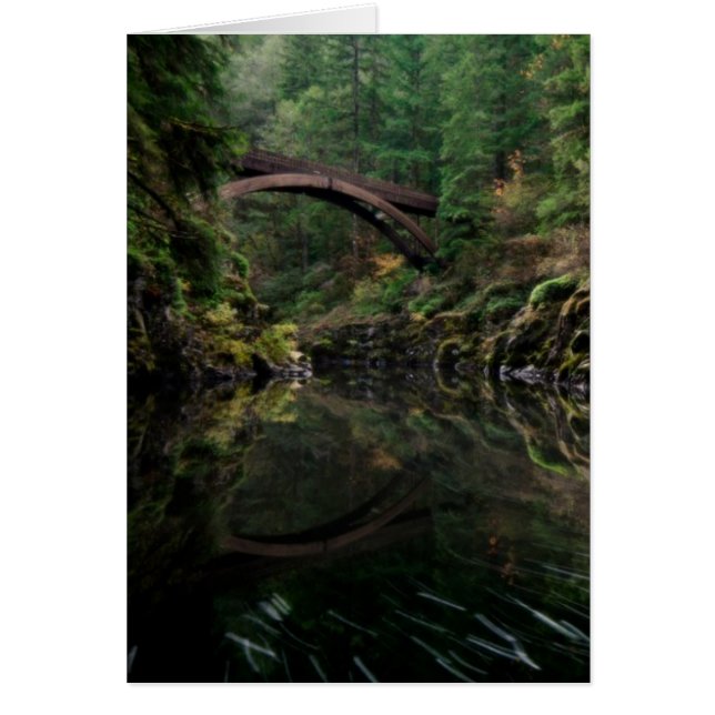 Under the Bridge (Front)