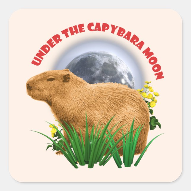 Under the Capybara Moon Cute Animal Square Sticker (Front)