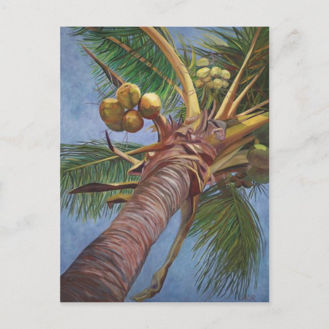 Under the Coconut Tree Postcard (Front)