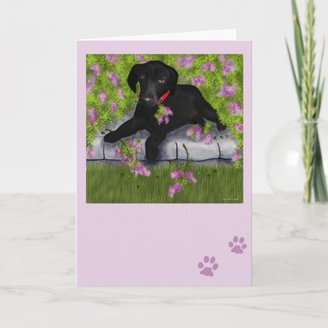 Under the Lilacs Card (Front)