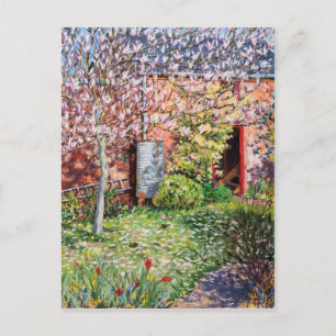 Under the Magnolia Postcard
