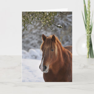 Under the mistletoe, horse Christmas Holiday Card