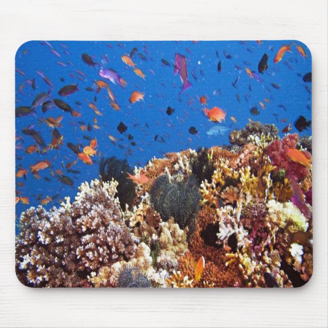 Under the sea aquatic fish scenes mouse mat (Front)