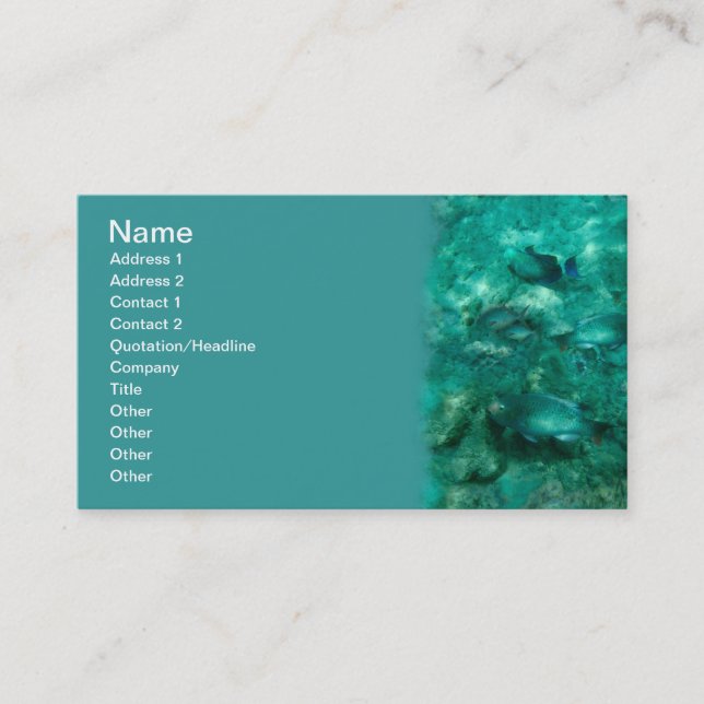 Under the Sea Business Card (Front)