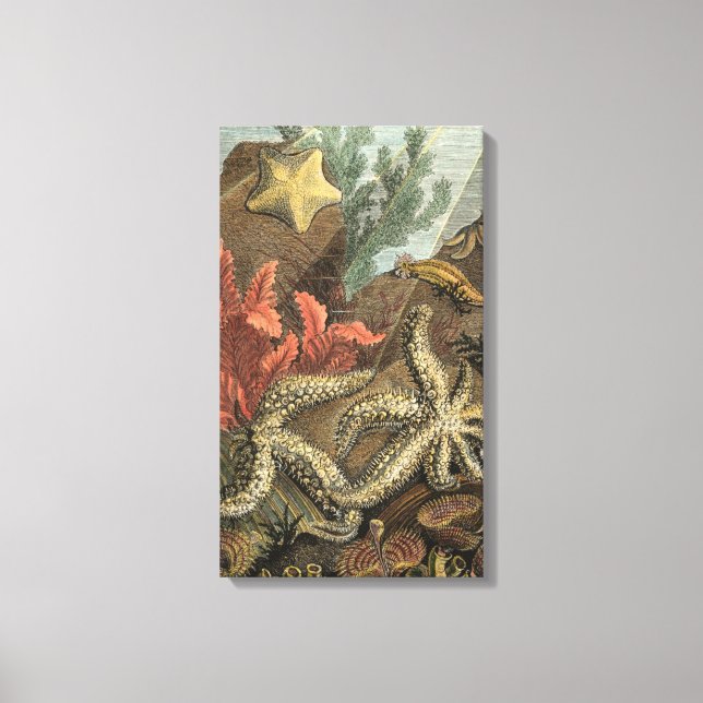 Under the Sea Canvas Print (Front)