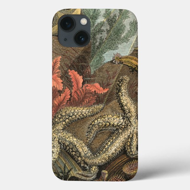 Under the Sea Case-Mate iPhone Case (Back)