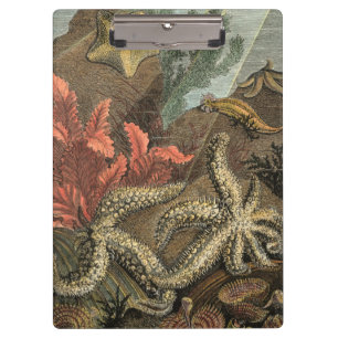 Under the Sea Clipboard