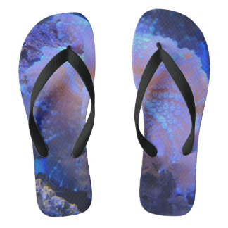 Under the sea flip flops