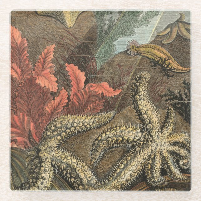 Under the Sea Glass Coaster (Front)