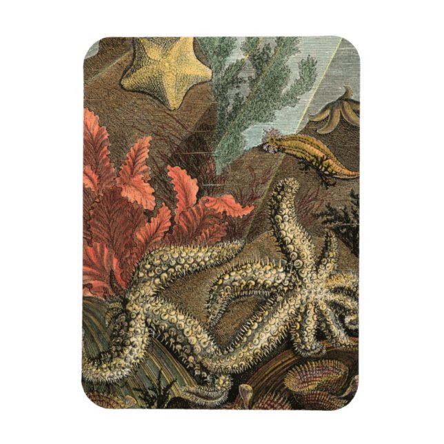 Under the Sea Magnet (Vertical)