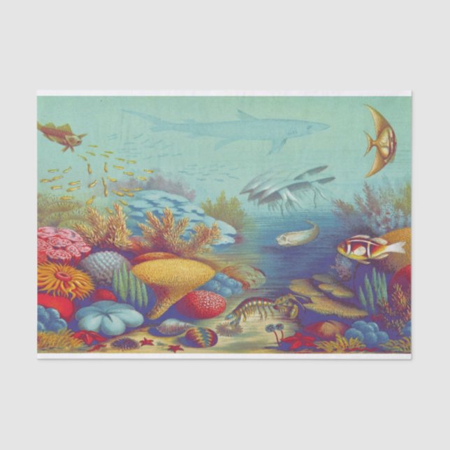 Under the Sea Marine Scene Tissue Paper (Front)