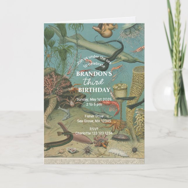Under The Sea Ocean Sea Animal retro Birthday  Invitation (Front)