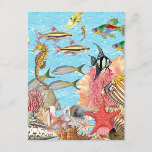 Under the sea postcard