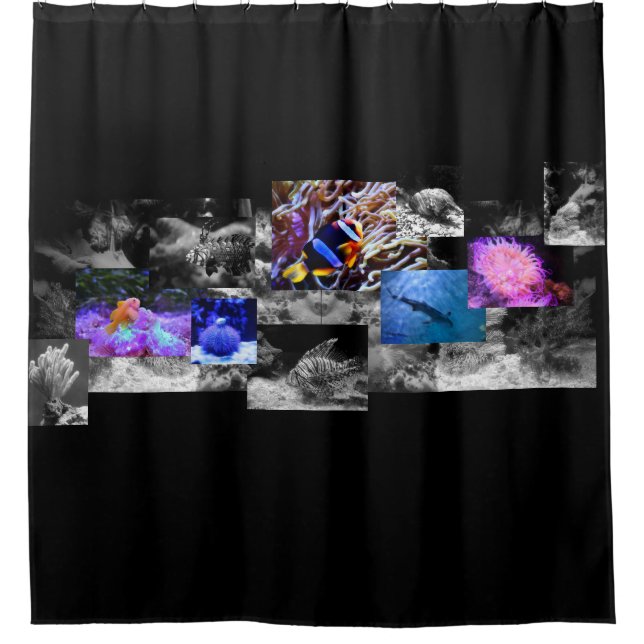 Under the Sea Shower Curtain (Front)