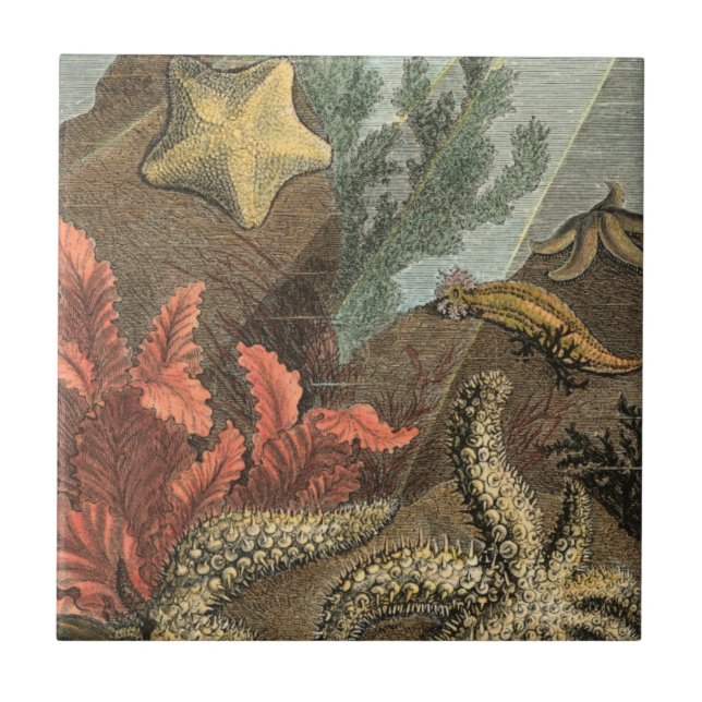 Under the Sea Tile (Front)