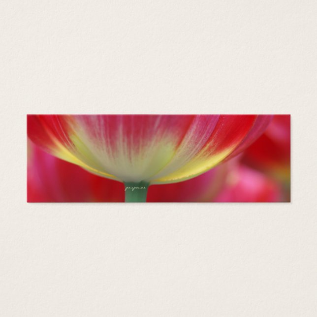 under the skirt of tulips (Front)