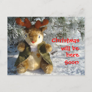 under the snowy pine customize holiday postcard