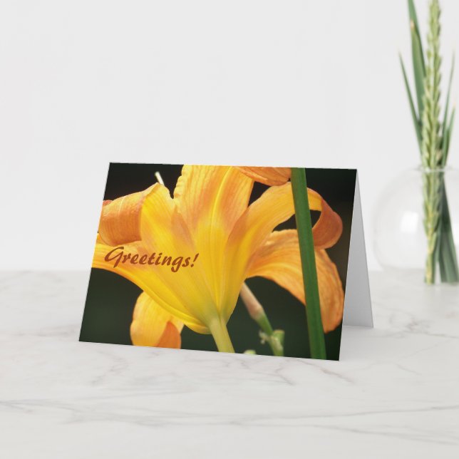 Under the Sun, Greetings! Card (Front)