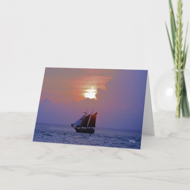 Under the Sun, S Cyr Card (Front)