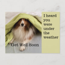 Under the Weather