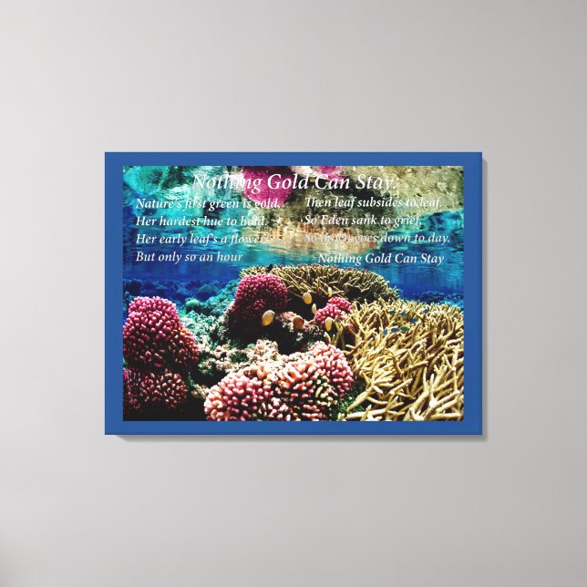 Under Water Canvas Print (Front)