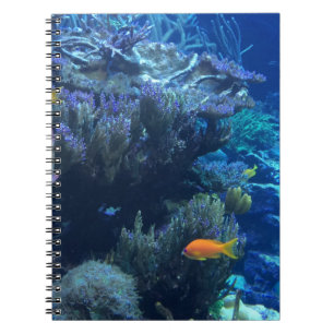 Under Water Ocean World And Summer Story  Notebook