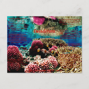 Under Water Postcard