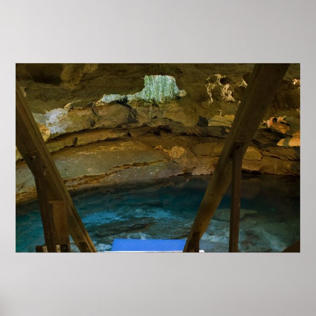 Underground Spring Print (Front)