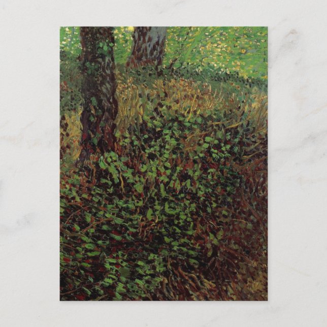 Undergrowth by Vincent van Gogh Postcard (Front)