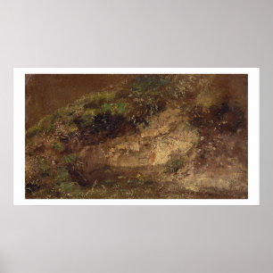 Undergrowth, c.1821 (oil on paper on board) poster