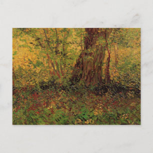 Undergrowth, Van Gogh Fine Art Postcard