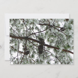 Underneath the Snow Covered Pine Tree Winter Photo Card