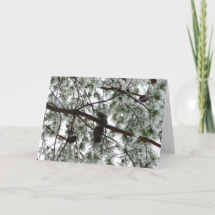 Underneath the Snow Covered Pine Tree Winter Photo Card