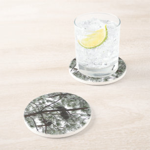 Underneath the Snow Covered Pine Tree Winter Photo Coaster