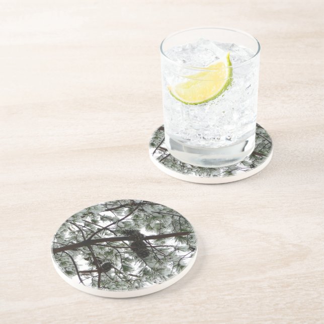 Underneath the Snow Covered Pine Tree Winter Photo Coaster (Side)