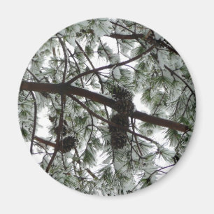 Underneath the Snow Covered Pine Tree Winter Photo Magnet
