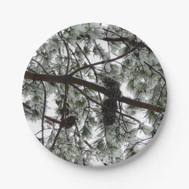 Underneath the Snow Covered Pine Tree Winter Photo Paper Plate (Front)