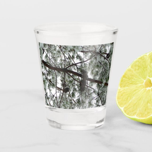 Underneath the Snow Covered Pine Tree Winter Photo Shot Glass (Front)