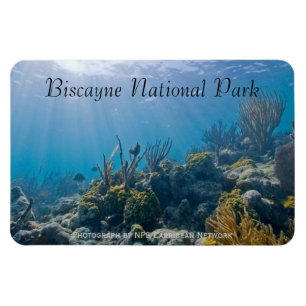 Undersea, Biscayne National Park Magnet
