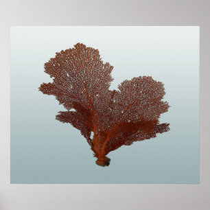 Undersea Red Sea Fan Nautical Vintage Style Poster