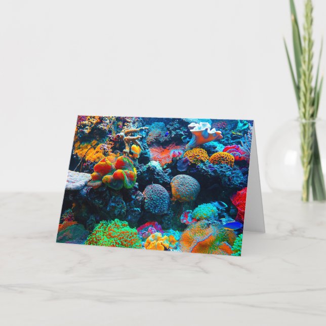 Undersea Tropical Coral Reef Card (Front)