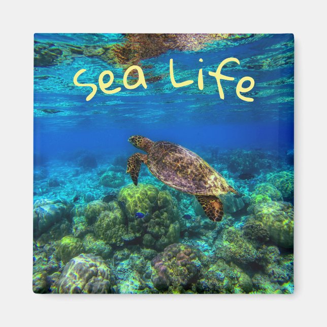Undersea Tropical Sea Turtle Coral Magnet (Front)