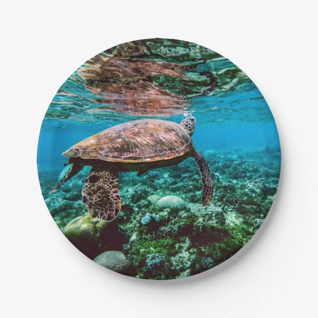 Undersea Tropical Sea Turtle Paper Plate (Front)