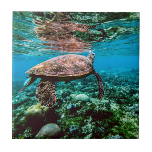 Undersea Tropical Sea Turtle Tile