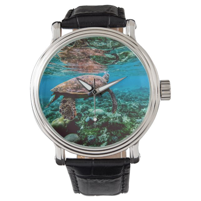 Undersea Tropical Sea Turtle Watch (Front)