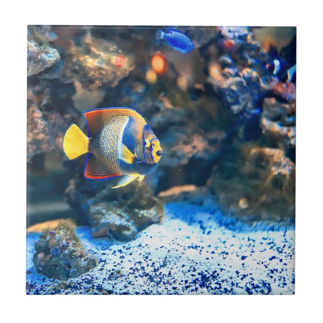Undersea Vibrant Tropical Fish Coral Tile (Front)