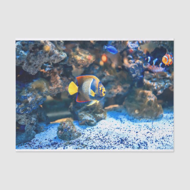 Undersea Vibrant Tropical Fish Coral Tissue Paper (Front)