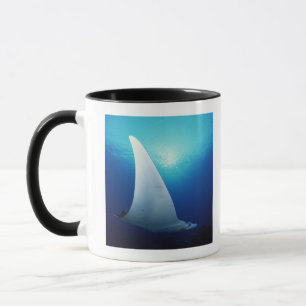 Underside of a manta ray mug