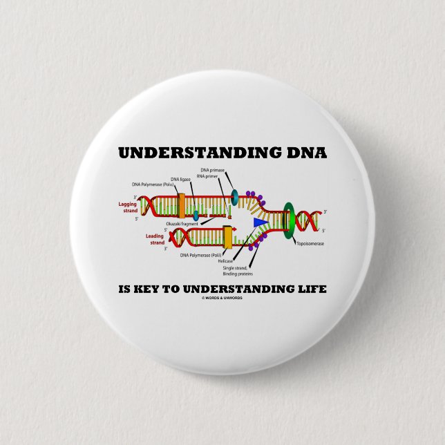 Understanding DNA Is Key To Understanding Life 6 Cm Round Badge (Front)