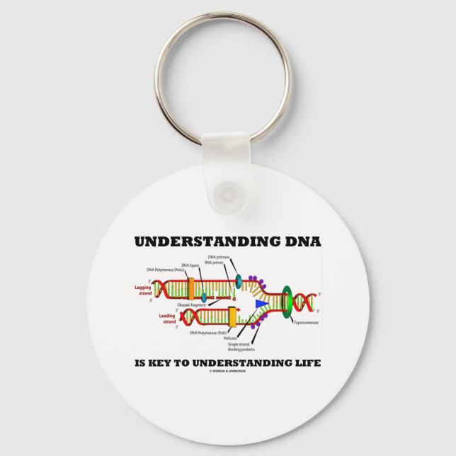 Understanding DNA Is Key To Understanding Life Ring (Front)